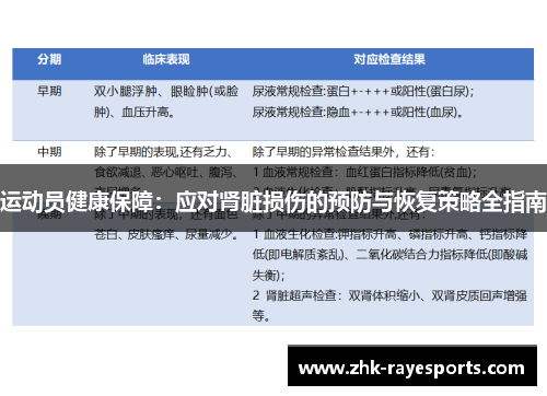 运动员健康保障：应对肾脏损伤的预防与恢复策略全指南